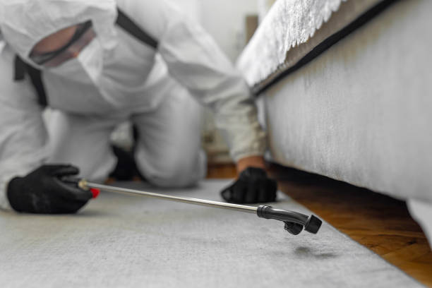 Professional Ant Control technician working in Fussels Corner, FL