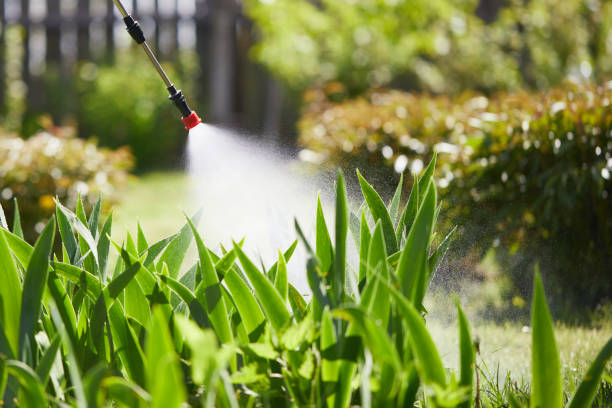 24/7 Emergency Ant Control experts in Fussels Corner, FL