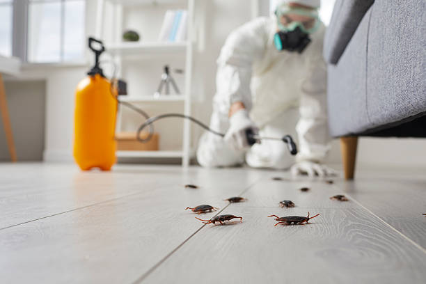 Trusted Emergency Pest Control service in Fussels Corner, FL - Nex Pest Control